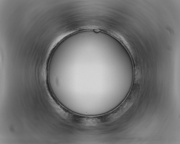 X0000114130795200910221503