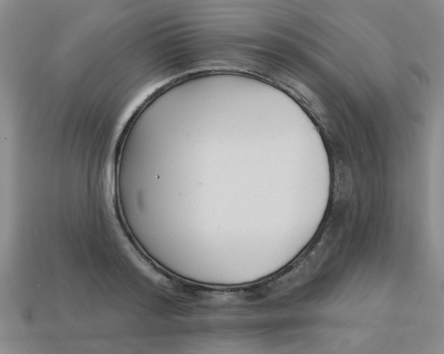 X0000114130796200910221503