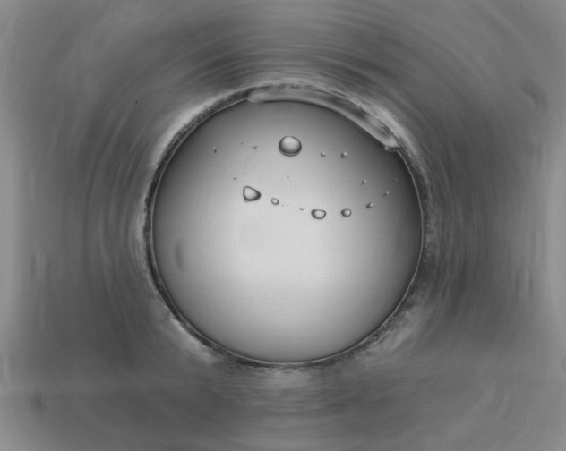 X0000114130799200910221503