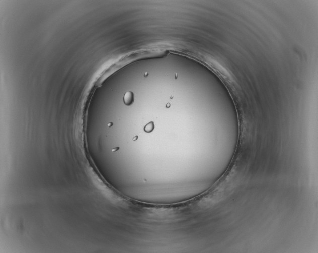 X0000114130800200910221503