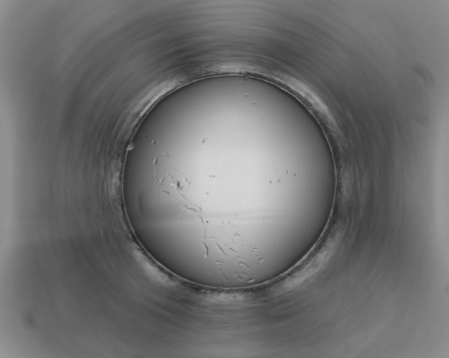 X0000114130801200910221503