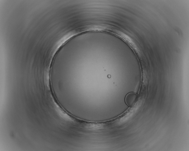 X0000114130802200910221503