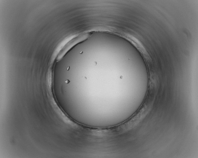 X0000114130804200910221503