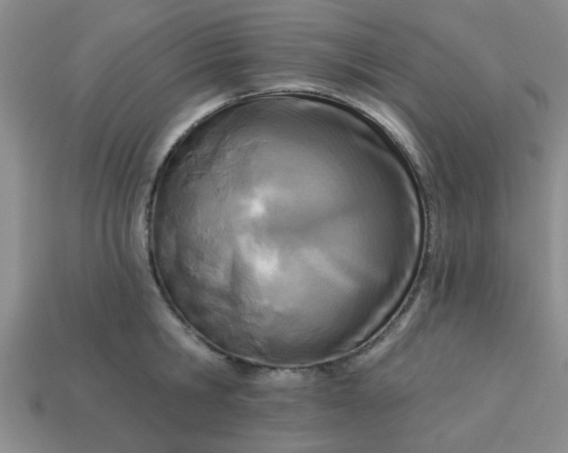 X0000114130806200910221503