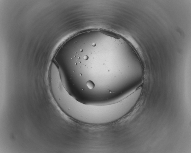 X0000114130807200910221503