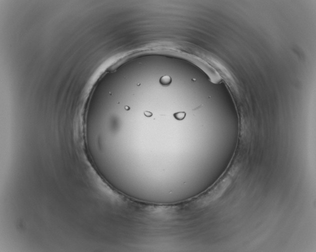 X0000114130808200910221503