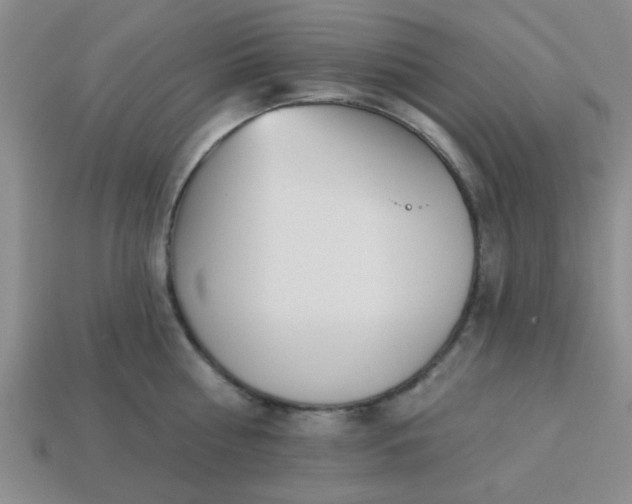 X0000114130810200910221503