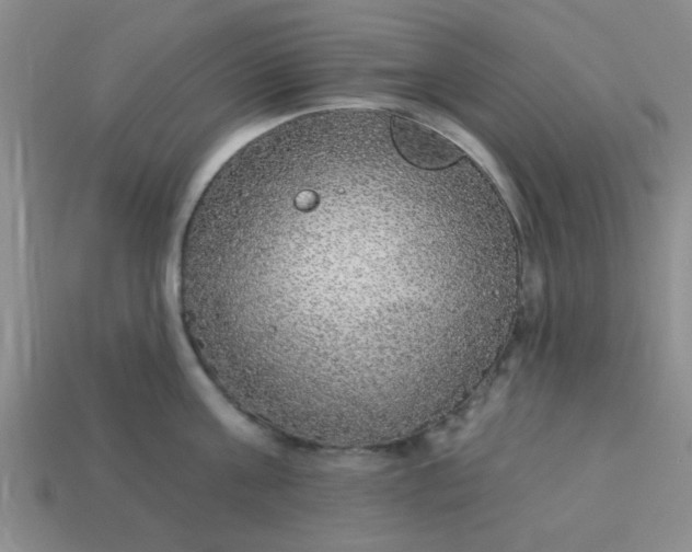 X0000114130811200910221503