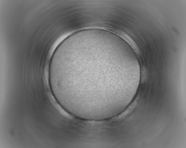 X0000114130812200910221503