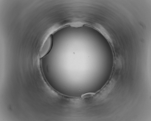 X0000114130813200910221503