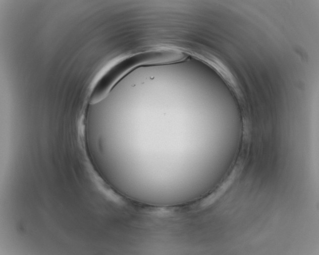 X0000114130814200910221503