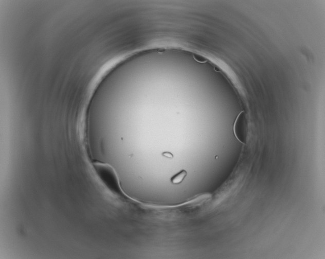 X0000114130815200910221503