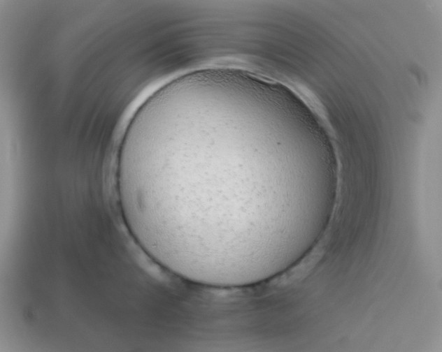 X0000114130816200910221503