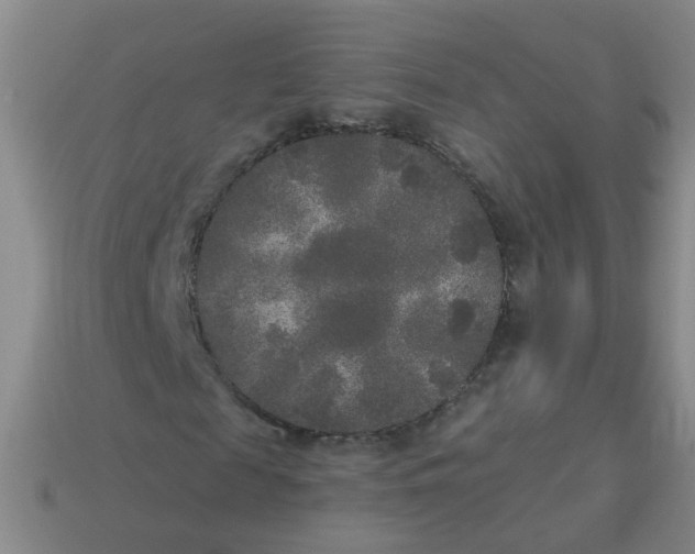 X0000114130817200910221502