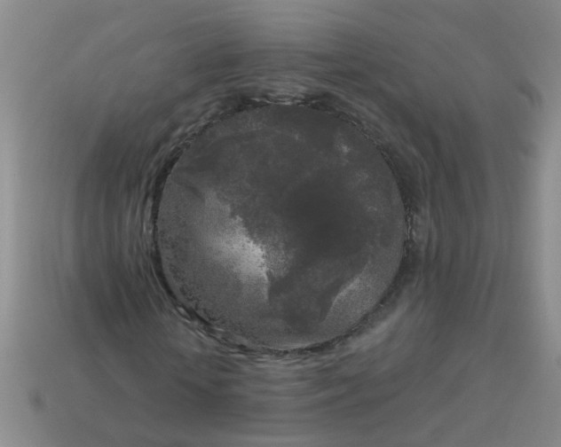 X0000114130818200910221502