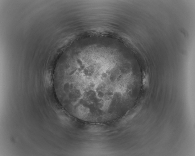 X0000114130819200910221502