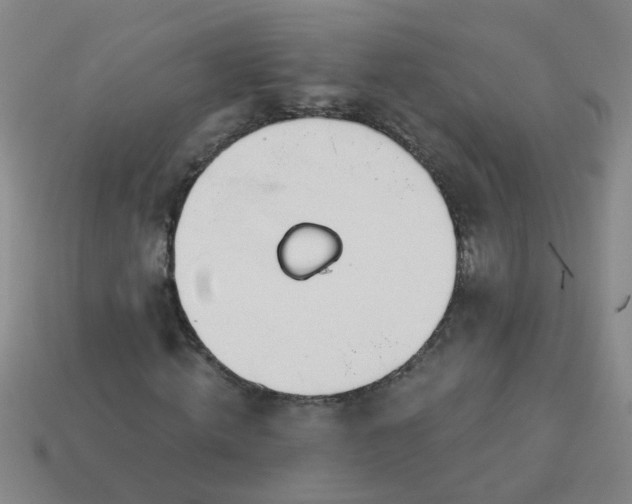 X0000114130820200910221502