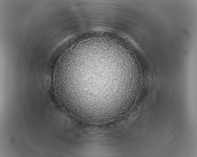 X0000114130821200910221502