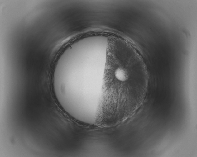 X0000114130822200910221502