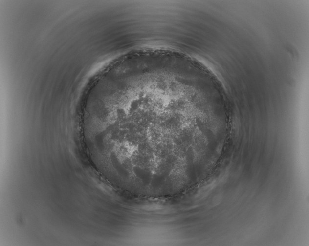 X0000114130823200910221502