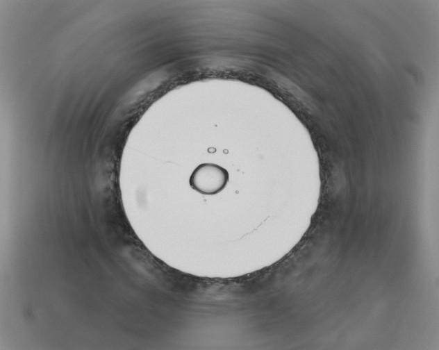 X0000114130824200910221502