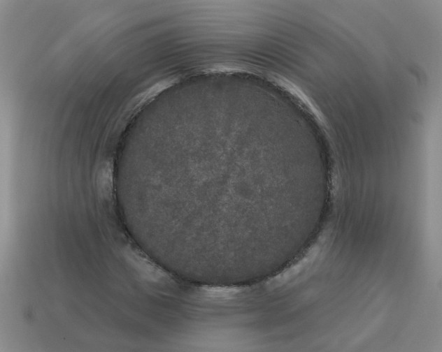 X0000114130825200910221502