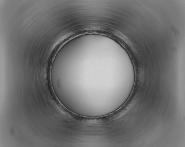 X0000114130826200910221502