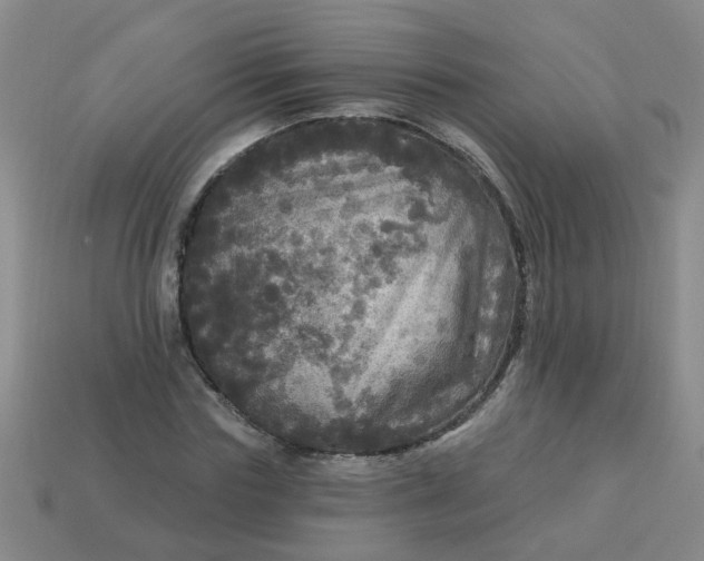 X0000114130827200910221502