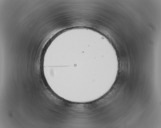 X0000114130828200910221502