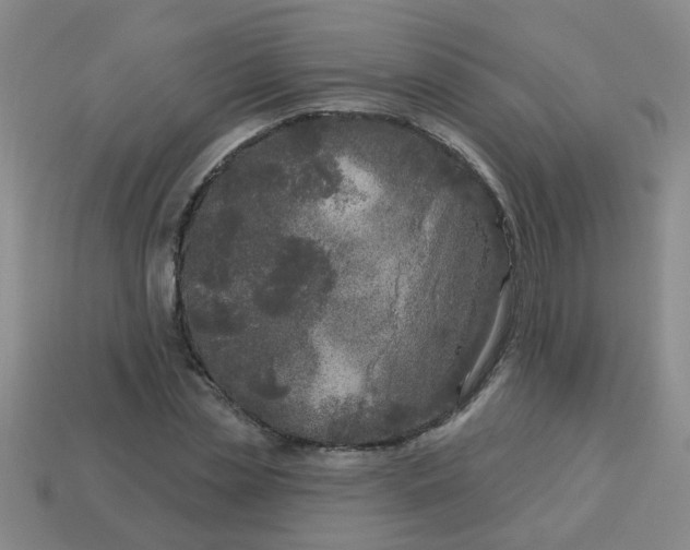 X0000114130829200910221502