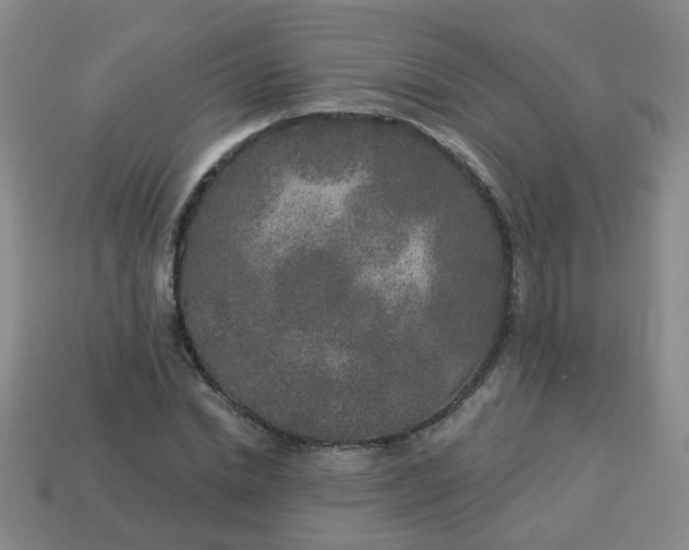 X0000114130830200910221502