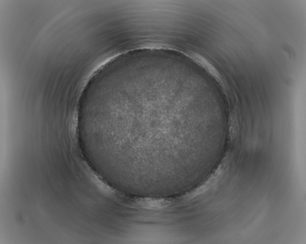 X0000114130831200910221502