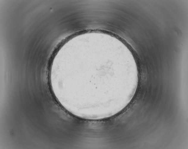 X0000114130832200910221502