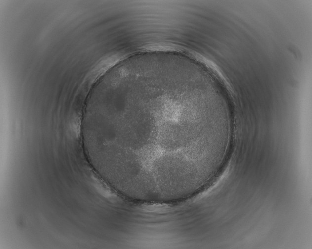 X0000114130833200910221502