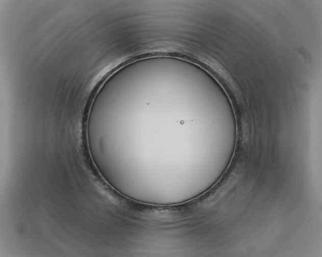 X0000114130834200910221502