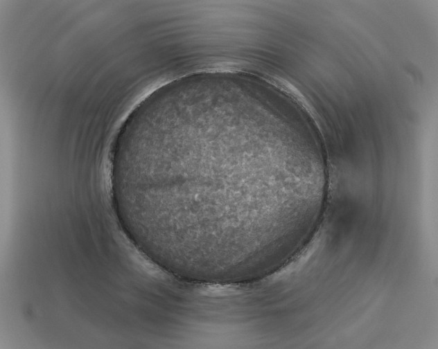 X0000114130835200910221502