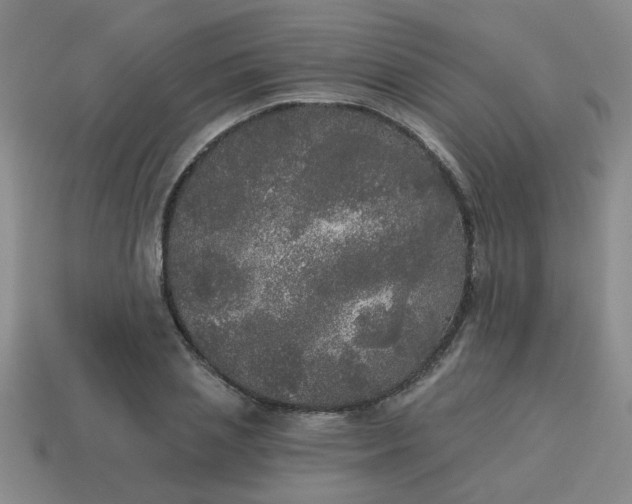 X0000114130837200910221503