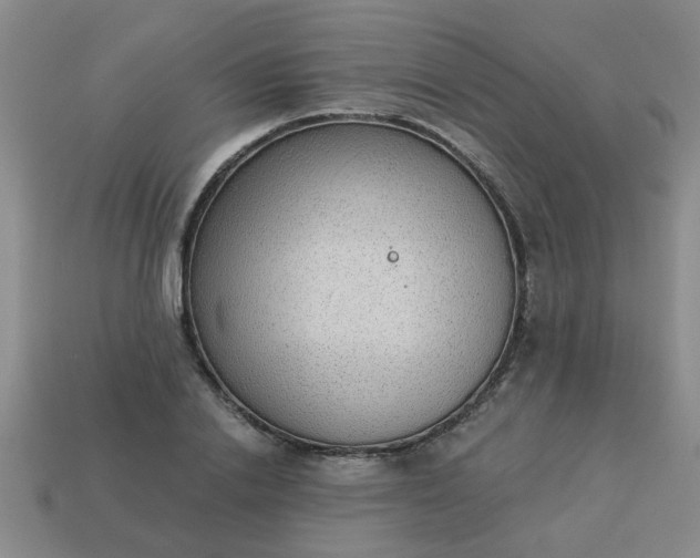 X0000114130838200910221503