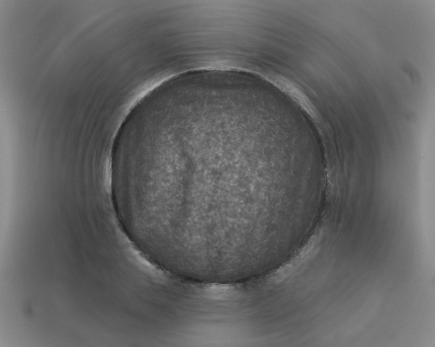 X0000114130839200910221503