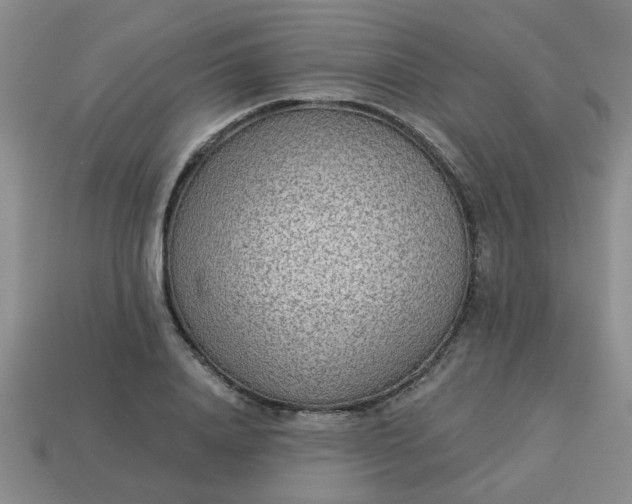 X0000114130840200910221503