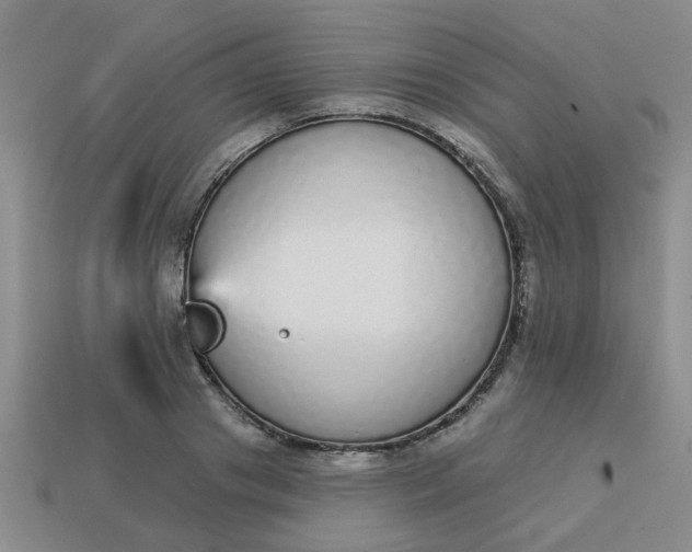 X0000114130841200910221503