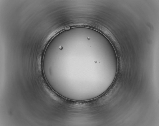 X0000114130842200910221503