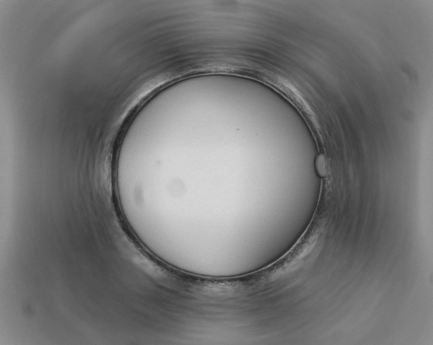 X0000114130843200910221503