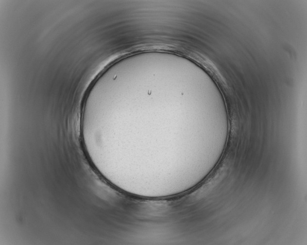 X0000114130844200910221503