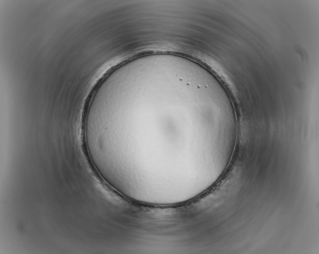 X0000114130845200910221503