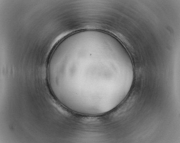 X0000114130846200910221503