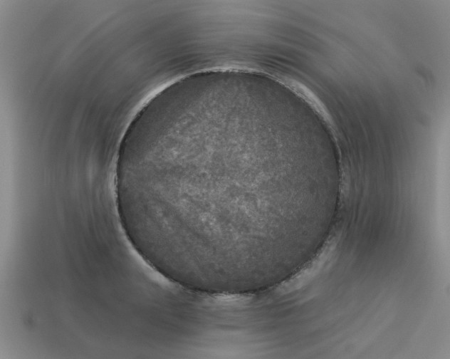 X0000114130847200910221503