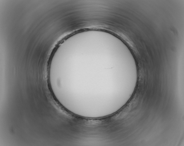 X0000114130848200910221503