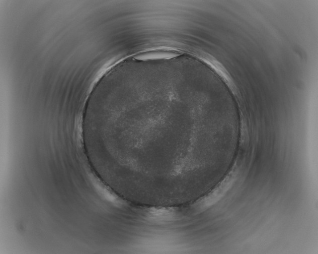 X0000114130850200910221503