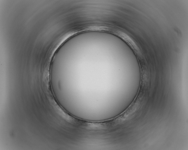 X0000114130852200910221503